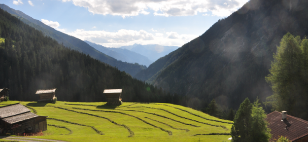 Heuernte Ausblick Ferienhaus